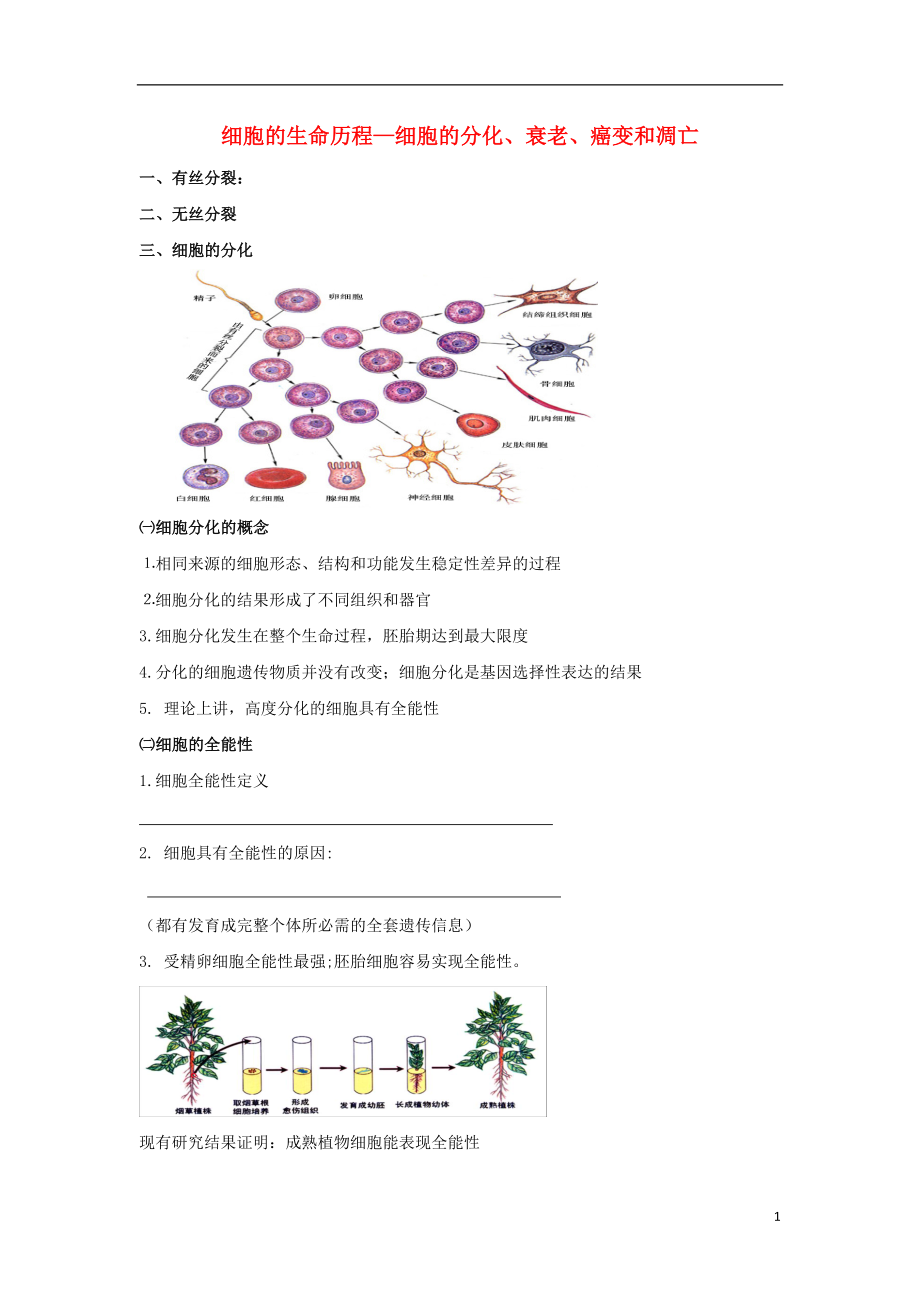 北京市第四中學(xué)2017屆高考生物專題復(fù)習(xí) 2細(xì)胞的分化、衰老、癌變和凋亡學(xué)案_第1頁