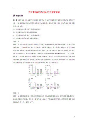 （全國通用版）2019高考生物二輪復(fù)習(xí) 專題四 遺傳的分子基礎(chǔ)、變異與進(jìn)化 小專題4 同位素標(biāo)記法與DNA的半保留復(fù)制學(xué)案