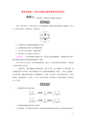 2021高考生物一輪復(fù)習(xí) 第7單元 生物的變異、育種與進化 素養(yǎng)加強課7 變異與細(xì)胞分裂和遺傳定律的綜合教學(xué)案 新人教版必修2