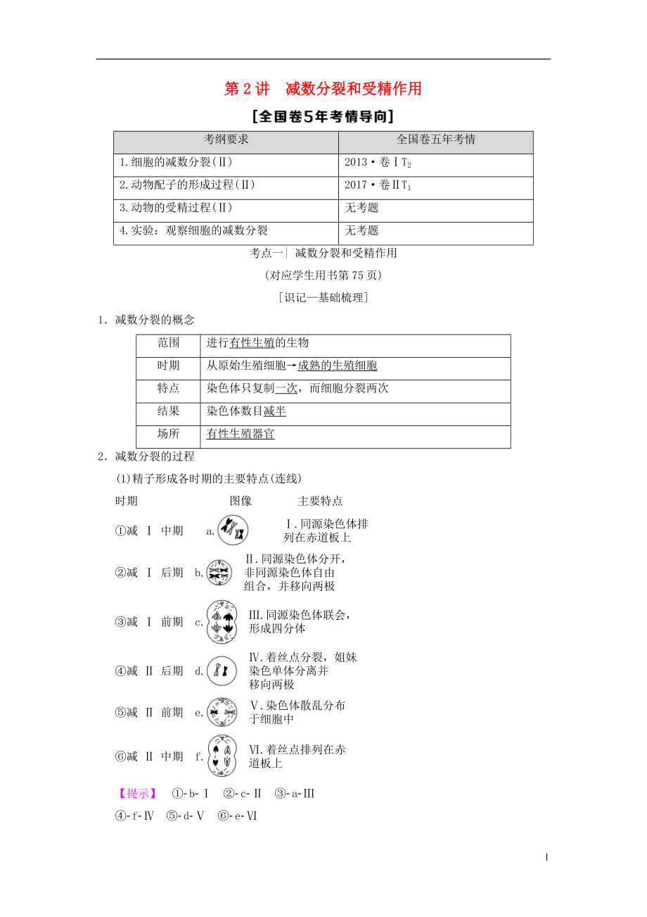 （全国版）2019版高考生物一轮复习 第4单元 细胞的生命历程 第2讲 减数分裂和受精作用学案_第1页