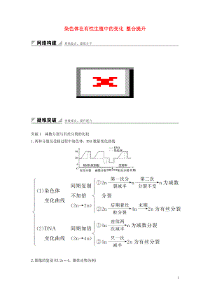 2016-2017版高中生物 1.1 染色體在有性生殖中的變化 整合提升學(xué)案 中圖版必修2