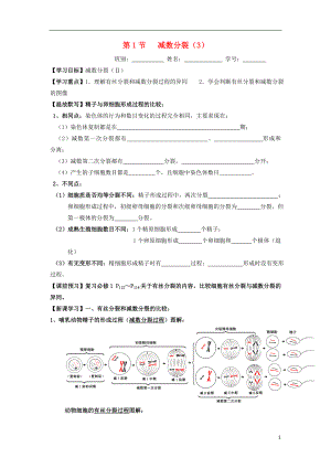 广东省佛山市高中生物 第2章 基因和染色体的关系 第1节 减数分裂（3）导学案 新人教版必修2