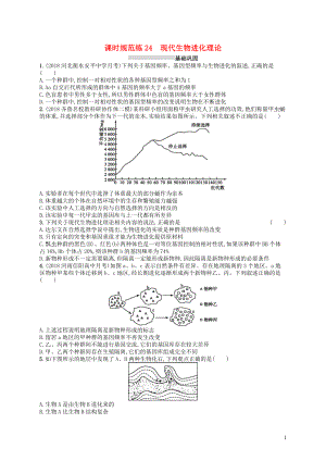 2020版高考生物大一輪復(fù)習(xí) 第7單元 生物的變異和進化 課時規(guī)范練24 現(xiàn)代生物進化理論 新人教版