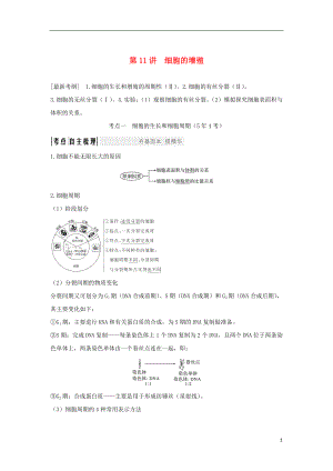 2018屆高考生物一輪復(fù)習(xí) 第四單元 細(xì)胞的生命歷程 第11講 減數(shù)分裂和受精作用學(xué)案