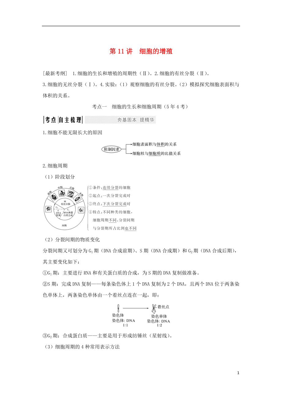 2018屆高考生物一輪復(fù)習(xí) 第四單元 細(xì)胞的生命歷程 第11講 減數(shù)分裂和受精作用學(xué)案_第1頁