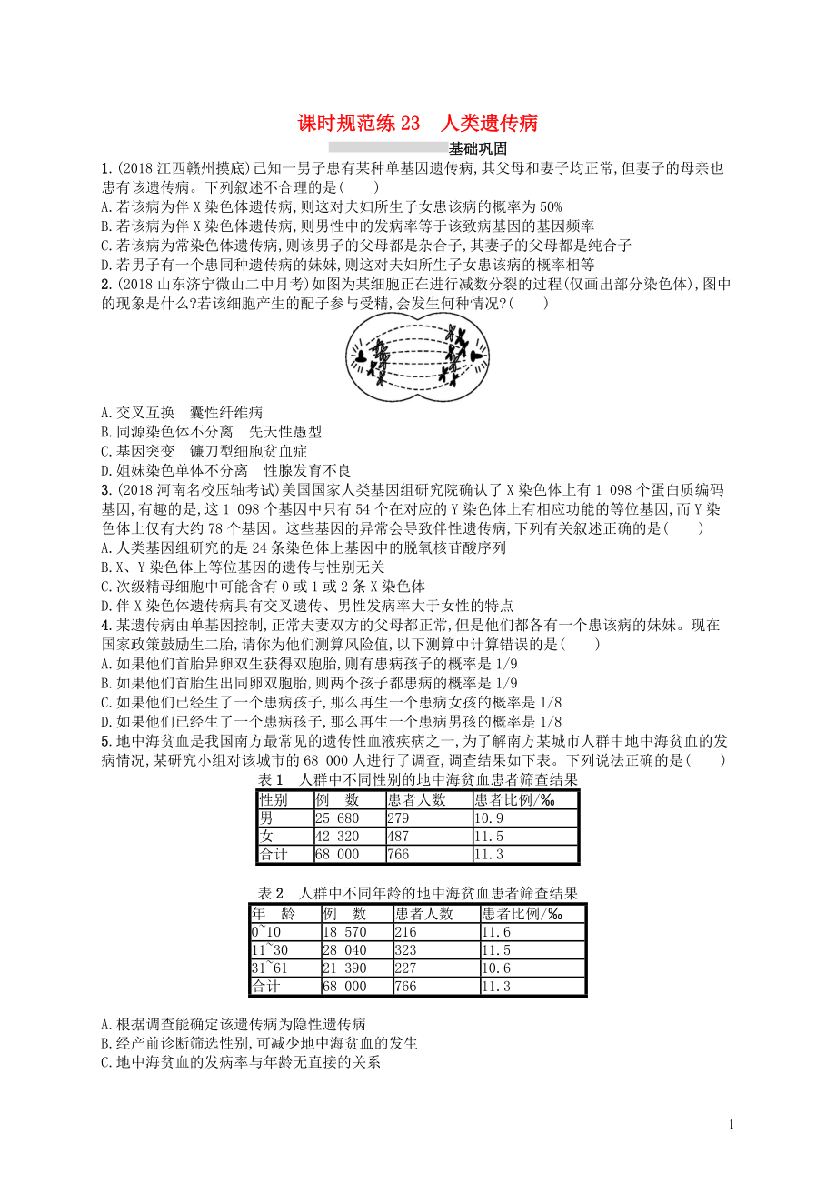 2020版高考生物大一輪復(fù)習(xí) 第7單元 生物的變異和進(jìn)化 課時(shí)規(guī)范練23 人類遺傳病 新人教版_第1頁(yè)