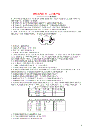 2020版高考生物大一輪復(fù)習(xí) 第7單元 生物的變異和進(jìn)化 課時(shí)規(guī)范練23 人類遺傳病 新人教版