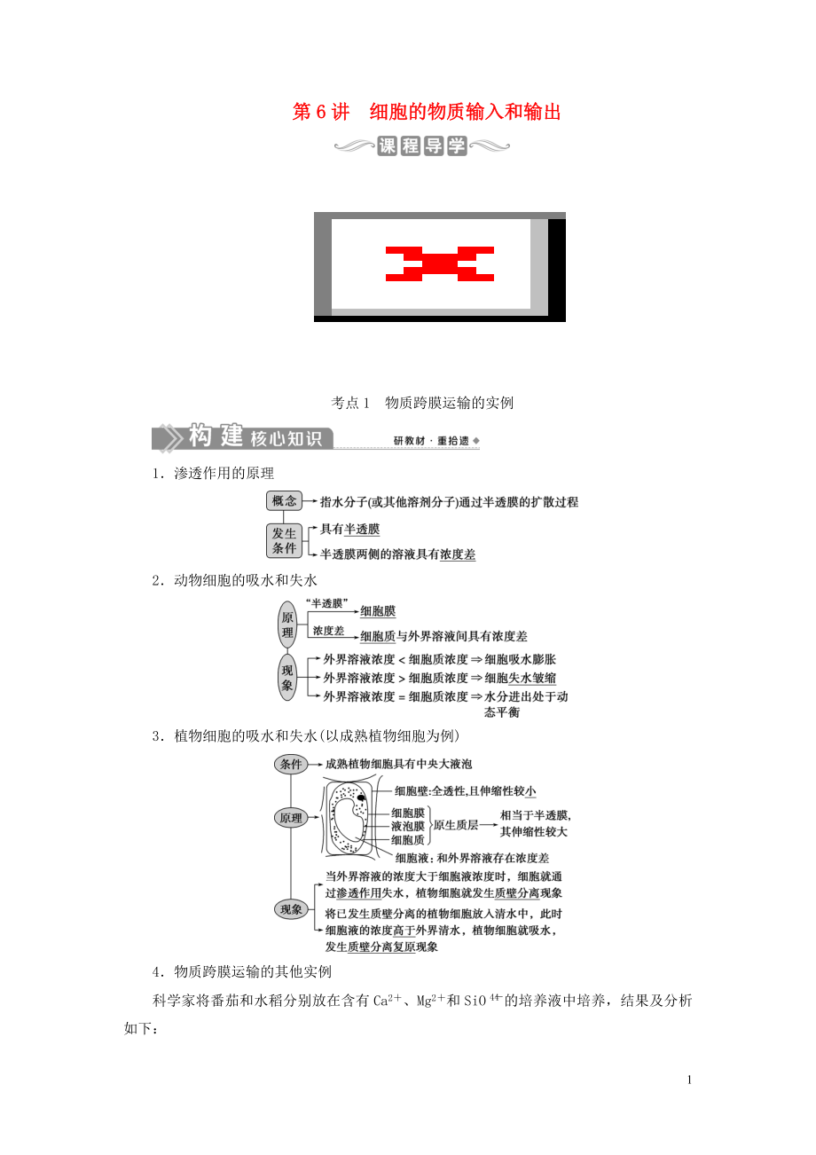 （選考）2021版新高考生物一輪復(fù)習(xí) 第二單元 細(xì)胞的結(jié)構(gòu)和物質(zhì)運(yùn)輸 第6講 細(xì)胞的物質(zhì)輸入和輸出學(xué)案 新人教版_第1頁