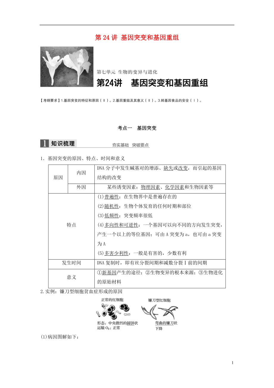 新2017高考生物一輪復(fù)習 第七單元 生物的變異與進化 第24講 基因突變和基因重組學案（含解析）北師大版_第1頁