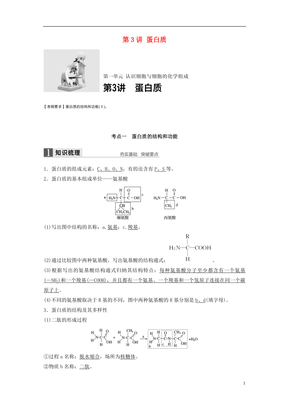 新2017高考生物一輪復(fù)習(xí) 第一單元 認(rèn)識(shí)細(xì)胞與細(xì)胞的化學(xué)組成 第3講 蛋白質(zhì)學(xué)案（含解析）北師大版_第1頁(yè)