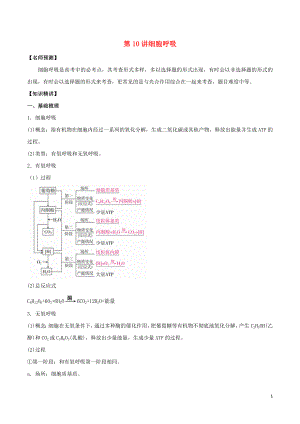 山東省2020年高考生物一輪復習 考點掃描 專題10 細胞呼吸（含解析）
