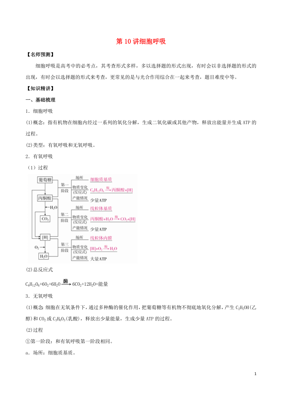 山東省2020年高考生物一輪復(fù)習(xí) 考點掃描 專題10 細(xì)胞呼吸（含解析）_第1頁