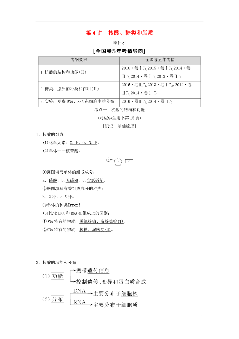 山東省2019高考生物 第1單元 細(xì)胞及其分子組成（4）核酸、糖類和脂質(zhì)導(dǎo)學(xué)案（含解析）新人教版必修1_第1頁(yè)