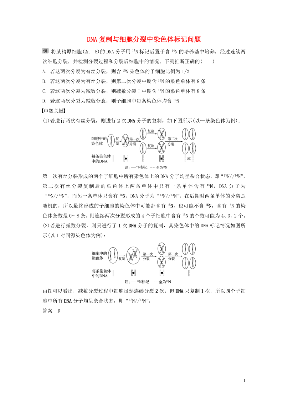 2020版高考生物新導(dǎo)學(xué)大一輪復(fù)習(xí) 第五單元 遺傳的分子基礎(chǔ) 熱點(diǎn)題型五 DNA復(fù)制與細(xì)胞分裂中染色體標(biāo)記問題講義（含解析）北師大版_第1頁