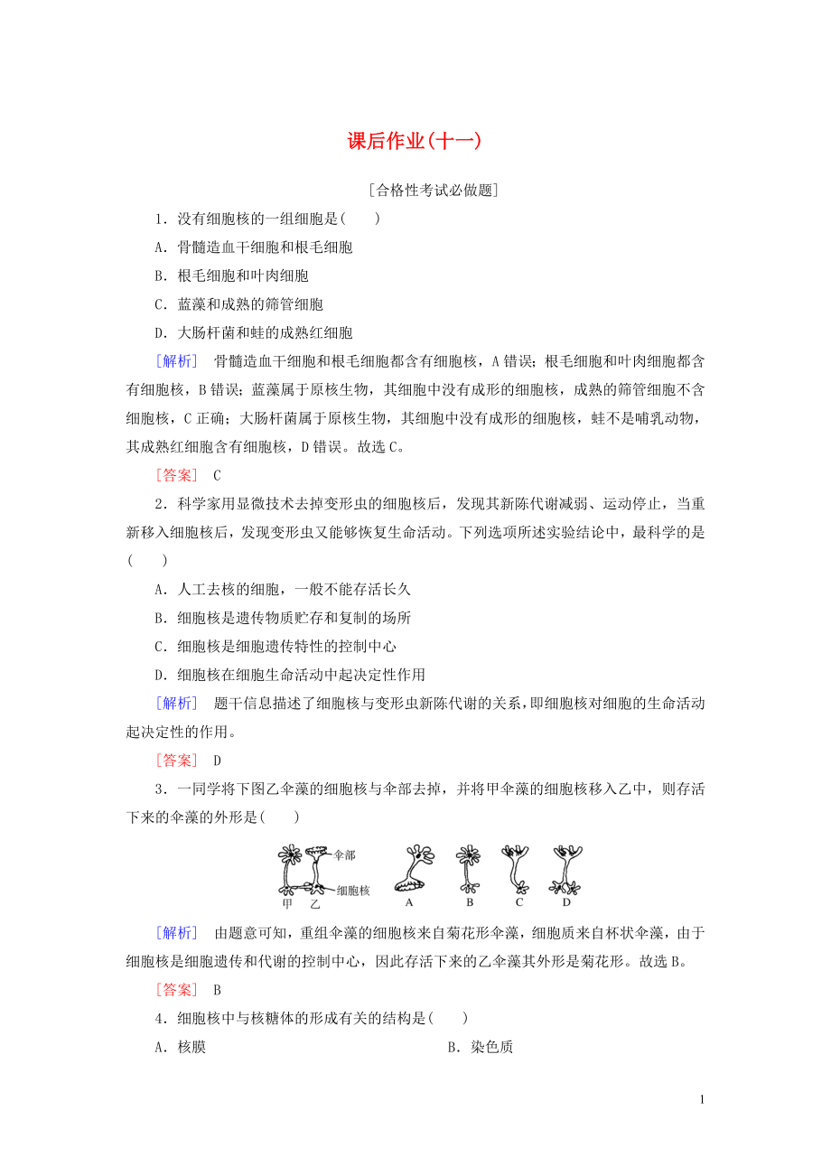 2019-2020學(xué)年新教材高中生物 課后作業(yè)11 細(xì)胞核的結(jié)構(gòu)和功能 新人教版必修1_第1頁