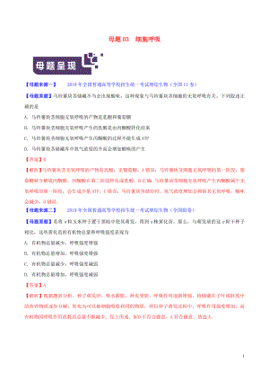 2019年高考生物 母題題源系列 專題03 細胞呼吸（含解析）