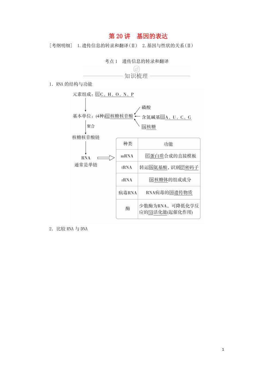 2020年高考生物一輪復(fù)習(xí) 第6單元 遺傳的物質(zhì)基礎(chǔ) 第20講 基因的表達(dá)學(xué)案（含解析）（必修2）_第1頁