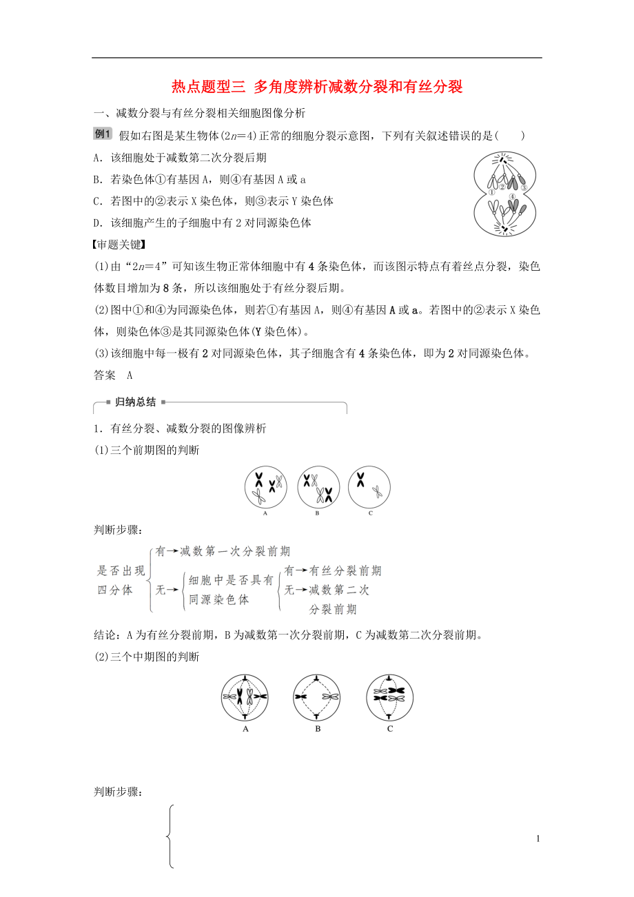 2018-2019學年高考生物大一輪復習 熱點題型三 多角度辨析減數(shù)分裂和有絲分裂學案_第1頁