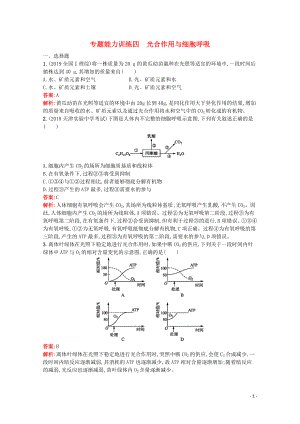 （天津?qū)Ｓ茫?020高考生物二輪復(fù)習(xí) 專題能力訓(xùn)練4 光合作用與細(xì)胞呼吸（含解析）