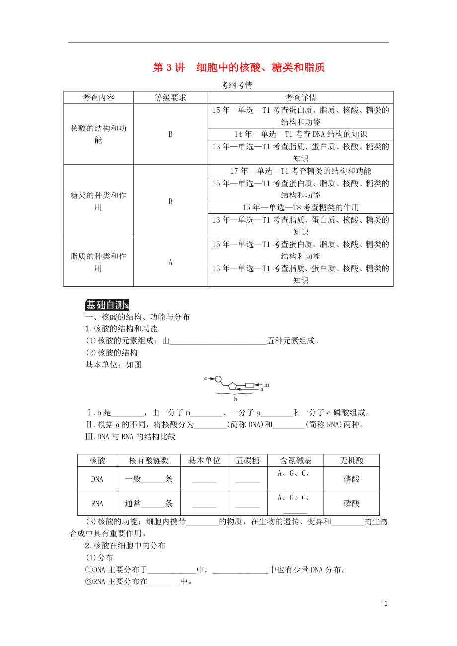 （江蘇專用）2019年高考生物一輪總復(fù)習(xí) 第1單元 細(xì)胞的分子組成 第3講 細(xì)胞中的核酸、糖類和脂質(zhì)學(xué)案_第1頁(yè)