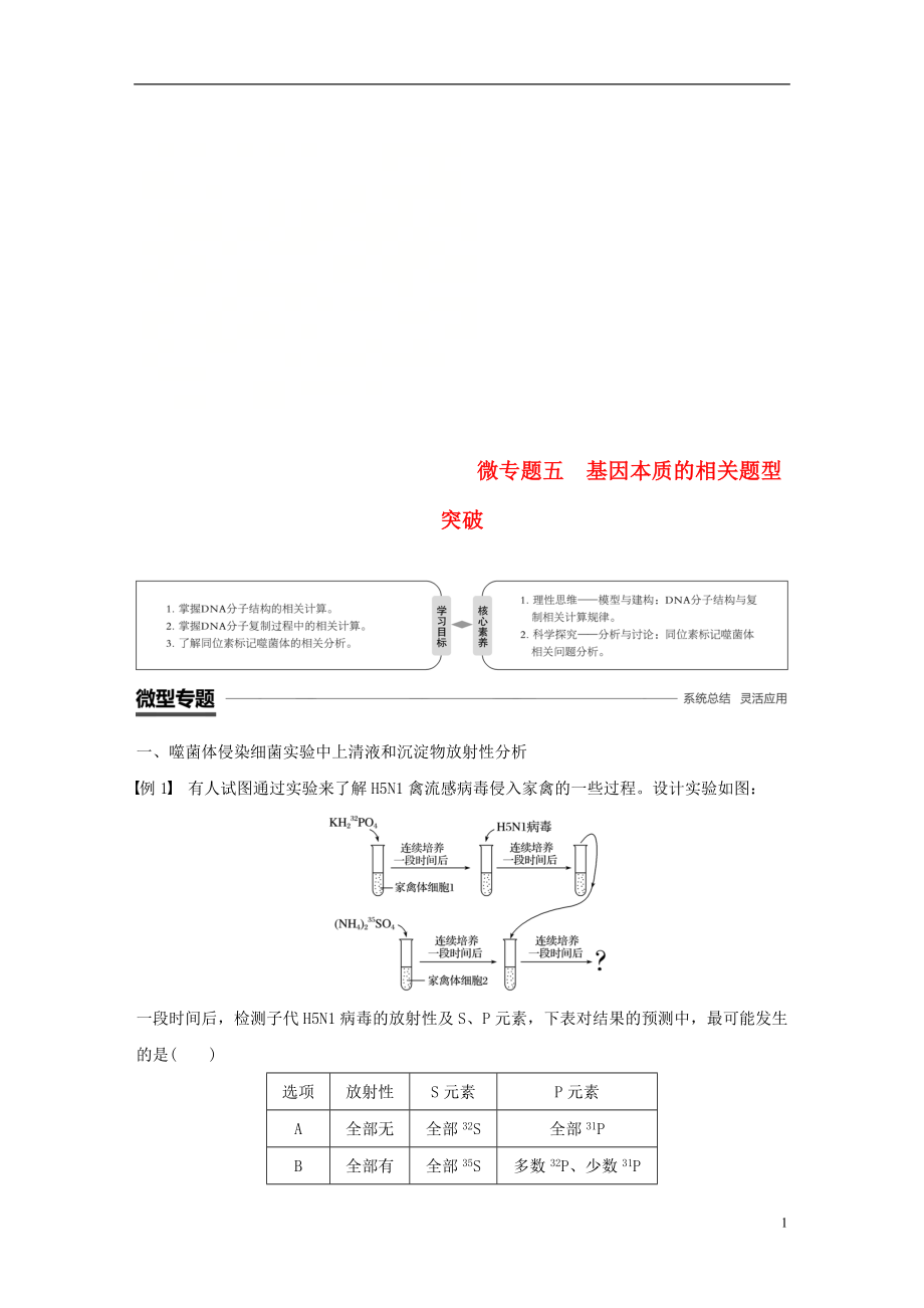 （粵渝冀遼蘇皖閩鄂湘津京魯瓊專用）2018-2019學年高中生物 第3章 基因的本質 微專題五 基因本質的相關題型突破學案 新人教版必修2_第1頁