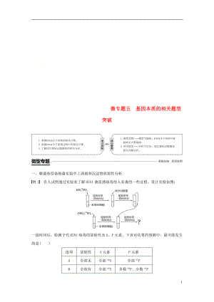 （粵渝冀遼蘇皖閩鄂湘津京魯瓊專用）2018-2019學(xué)年高中生物 第3章 基因的本質(zhì) 微專題五 基因本質(zhì)的相關(guān)題型突破學(xué)案 新人教版必修2