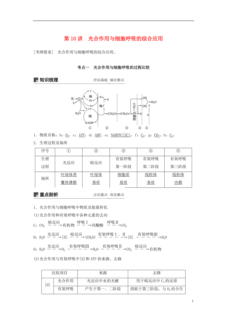 2018-2019學(xué)年高考生物大一輪復(fù)習(xí) 第三單元 細胞的能量供應(yīng)和利用 第10講 光合作用與細胞呼吸的綜合應(yīng)用學(xué)案_第1頁