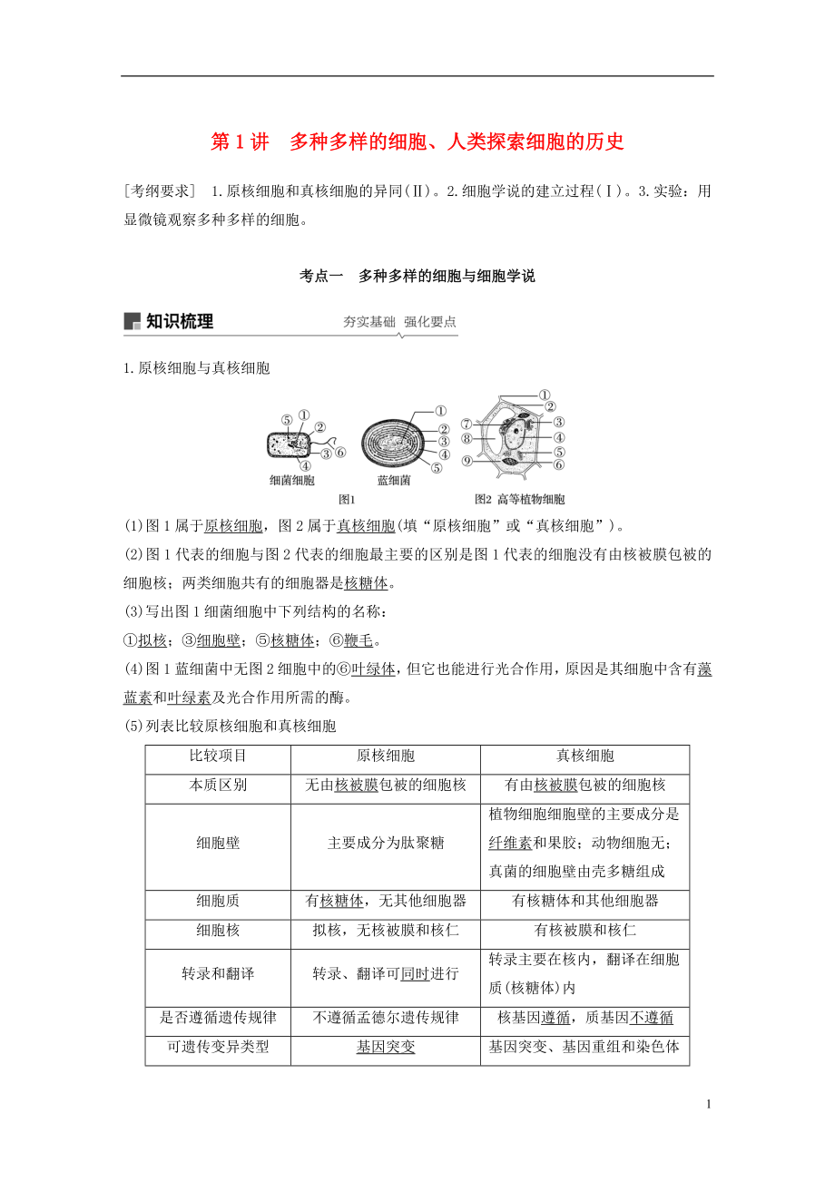 2019版生物高考大一輪復(fù)習(xí) 第一單元 認(rèn)識(shí)細(xì)胞與細(xì)胞的化學(xué)組成 第1講 多種多樣的細(xì)胞、人類探索細(xì)胞的歷史學(xué)案 北師大版_第1頁