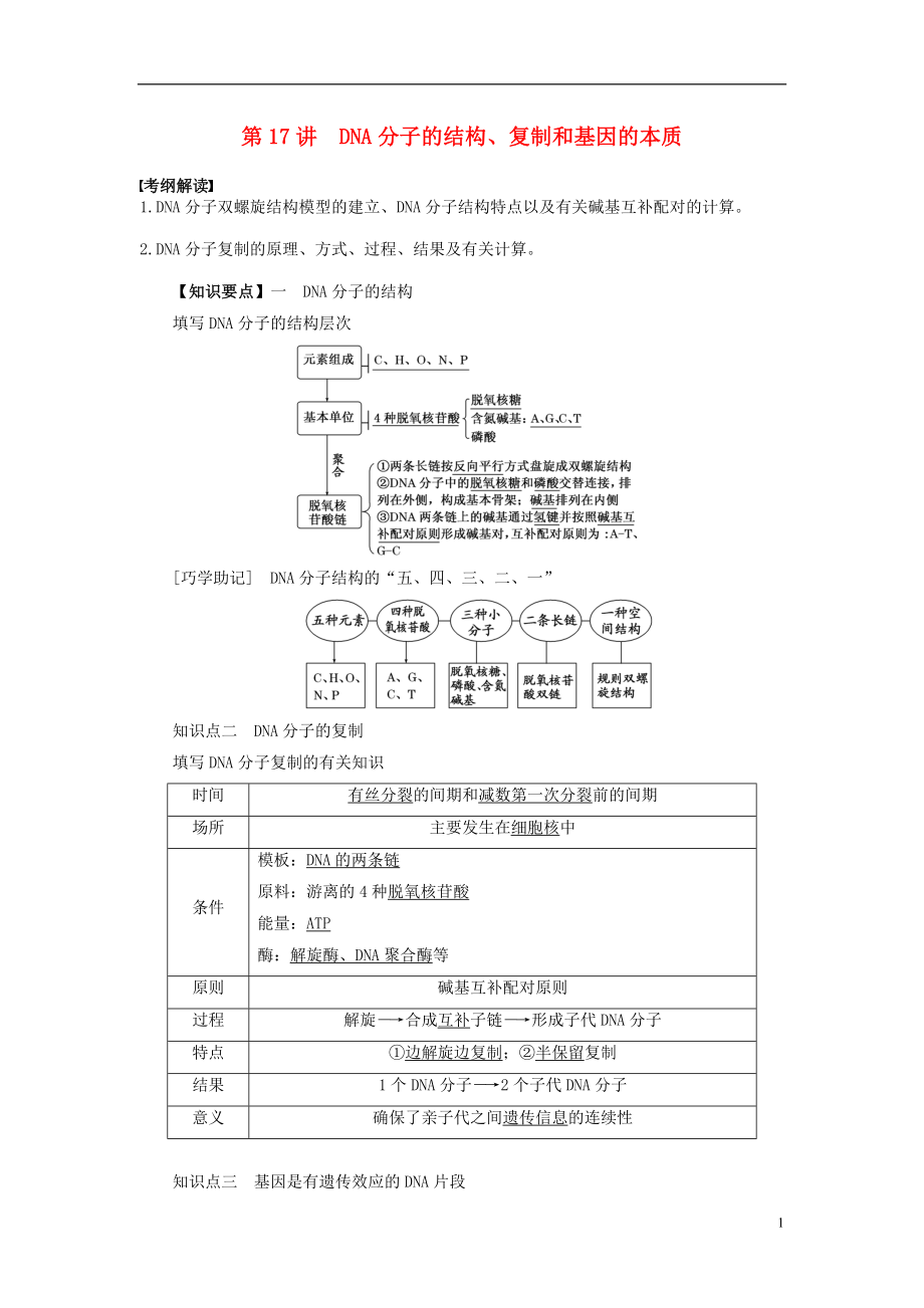 2016屆高三生物一輪復(fù)習(xí) 第17講 DNA分子的結(jié)構(gòu)導(dǎo)學(xué)案（無(wú)答案）_第1頁(yè)