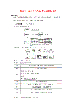 2016屆高三生物一輪復(fù)習(xí) 第17講 DNA分子的結(jié)構(gòu)導(dǎo)學(xué)案（無答案）