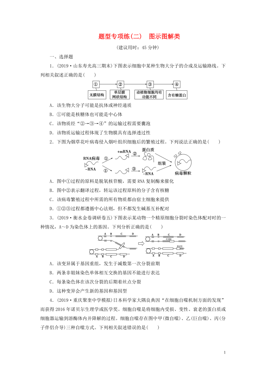 （新高考）2020高考生物二輪復(fù)習 第一部分 題型專項練 題型專項練（二） 圖示圖解類_第1頁