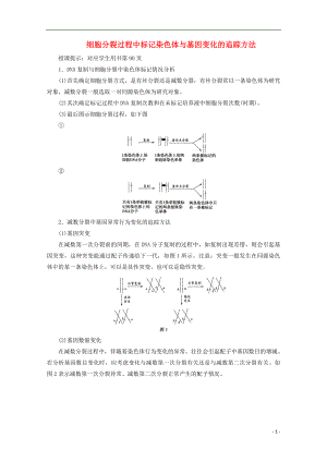 2018版高考生物一輪復習 第四單元 細胞的生命歷程 微講座 細胞分裂過程中標記染色體與基因變化的追蹤方法學案 新人教版