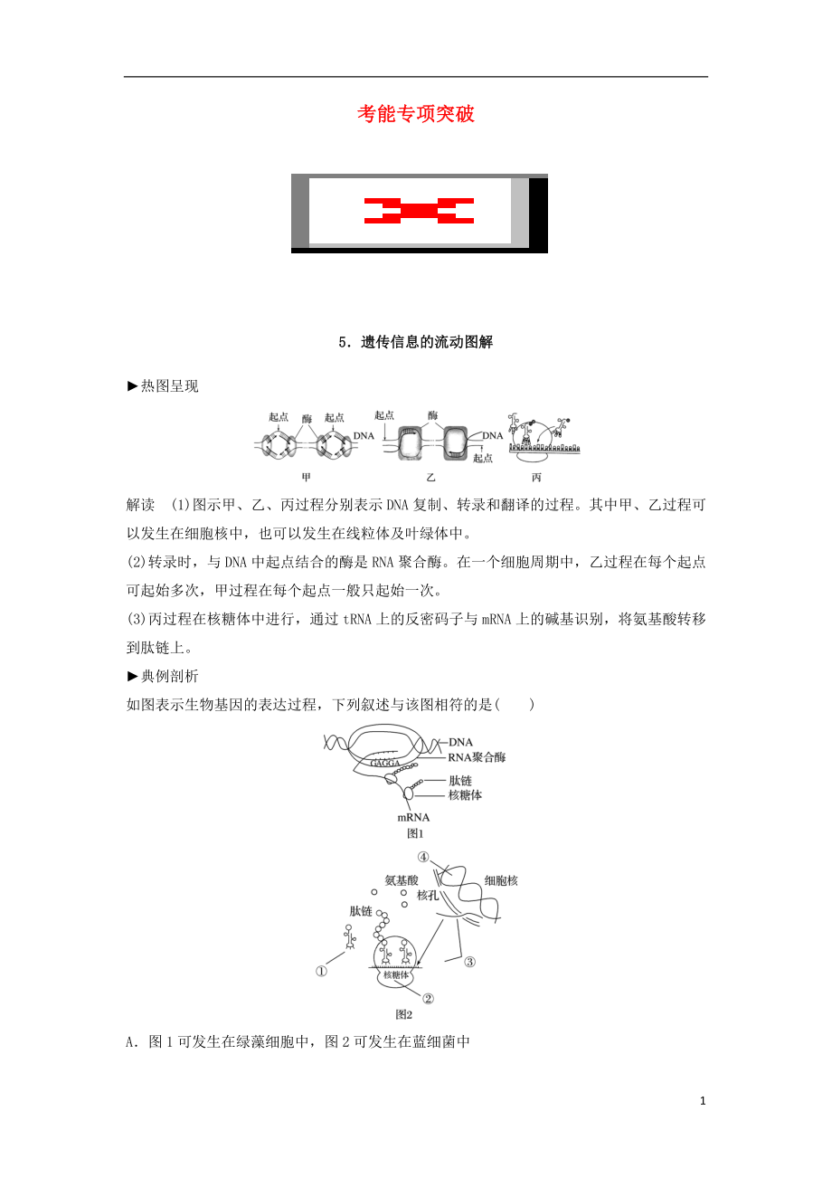 新2017高考生物一輪復(fù)習(xí) 考能專項(xiàng)突破（五）學(xué)案（含解析）北師大版_第1頁(yè)