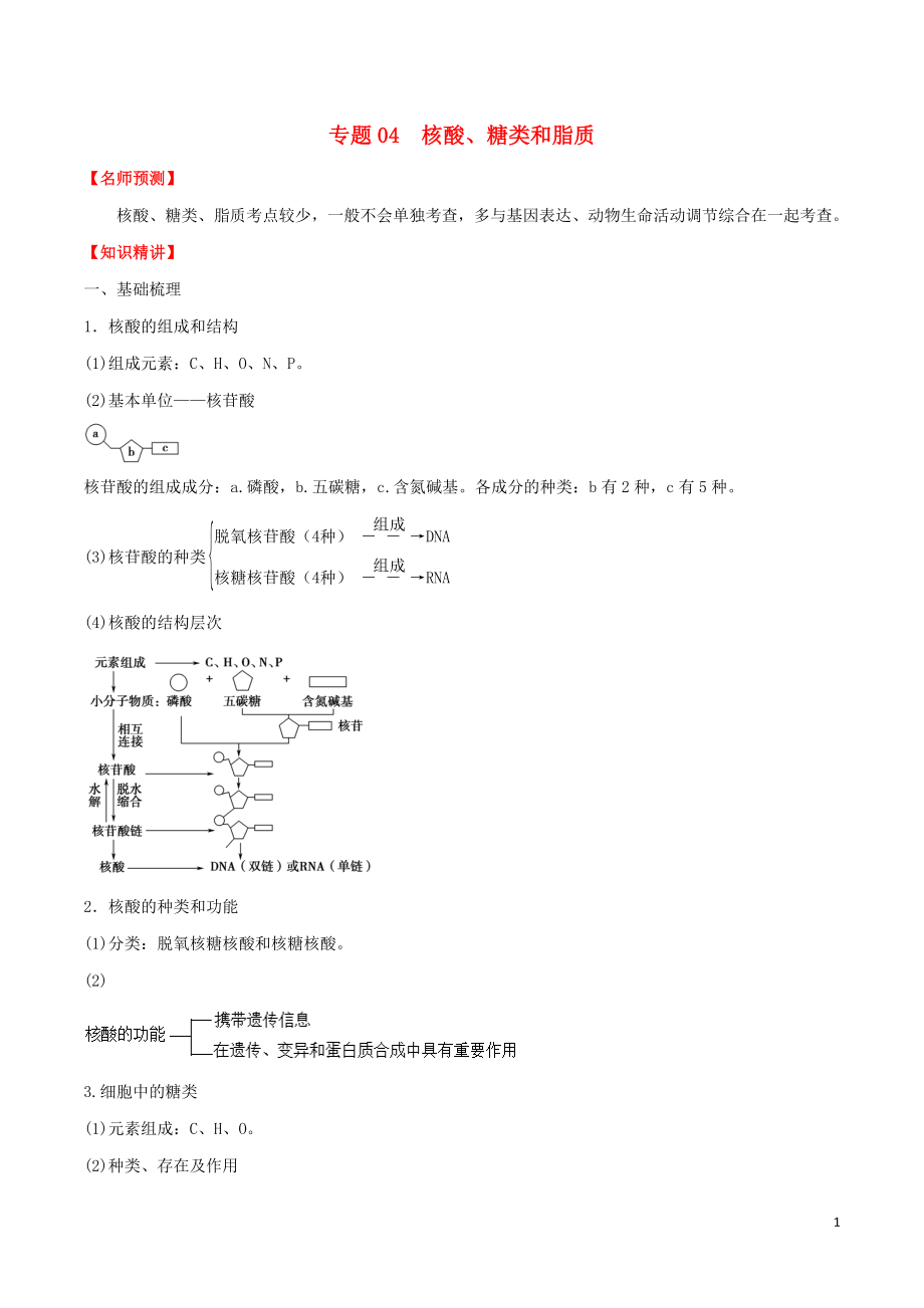 山東省2020年高考生物一輪復習 考點掃描 專題04 核酸、糖類和脂質（含解析）_第1頁