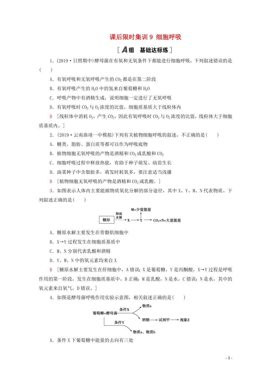 2021高考生物一輪復習 課后限時集訓9 細胞呼吸 新人教版_第1頁