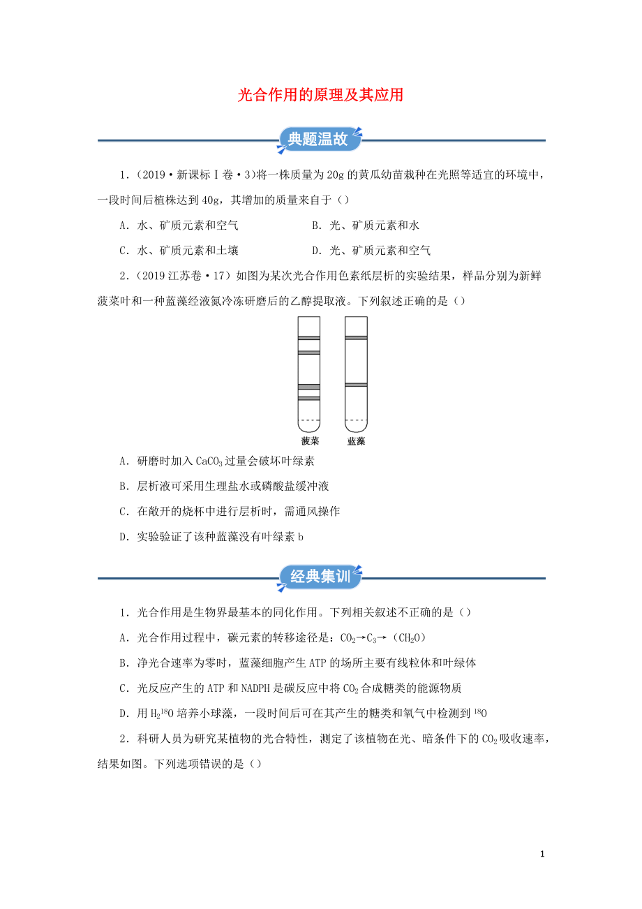 2019-2020學(xué)年高中生物 寒假作業(yè)精練5 光合作用的原理及其應(yīng)用（含解析）_第1頁