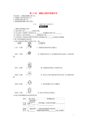 2019版高考生物一輪復(fù)習(xí) 第4單元 細(xì)胞的生命歷程 第13講 減數(shù)分裂和受精作用學(xué)案 蘇教版