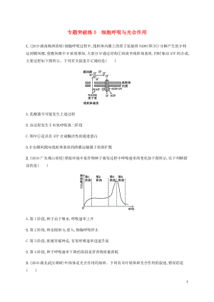 （通用版）2020版高考生物大二輪復(fù)習(xí) 專題突破練5 細(xì)胞呼吸與光合作用（含解析）