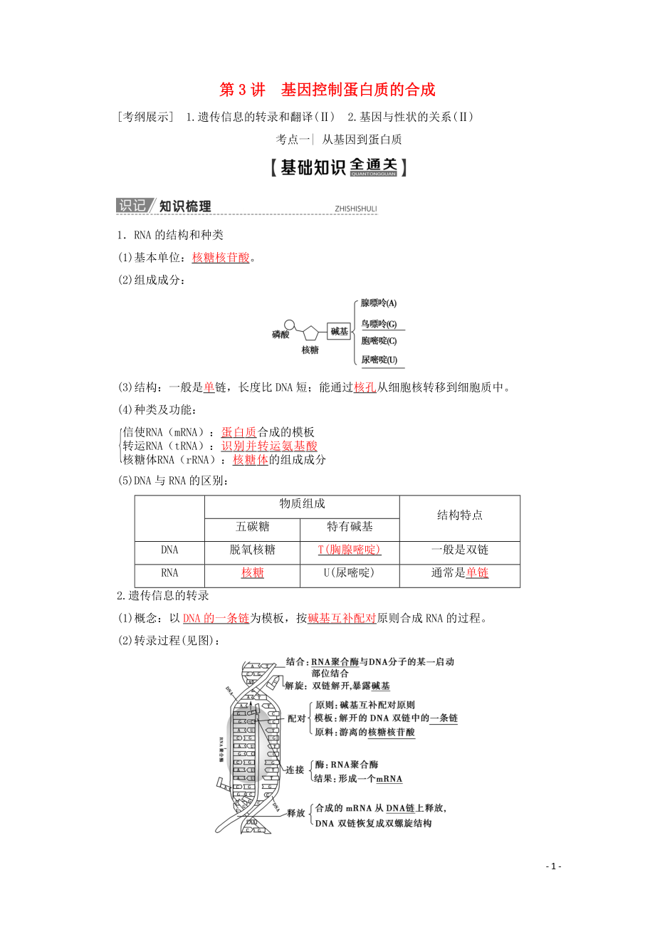 2020版高考生物一輪復(fù)習(xí) 第6單元 第3講 基因控制蛋白質(zhì)的合成教學(xué)案 蘇教版必修2_第1頁(yè)