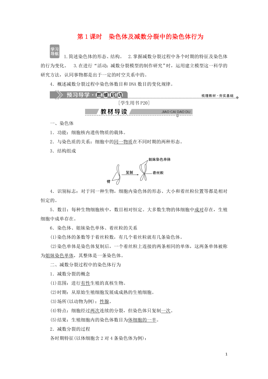 2019-2020學(xué)年高中生物 第二章 染色體與遺傳 第一節(jié) 減數(shù)分裂中的染色體行為 第1課時(shí) 染色體及減數(shù)分裂中的染色體行為學(xué)案 浙科版必修2_第1頁(yè)