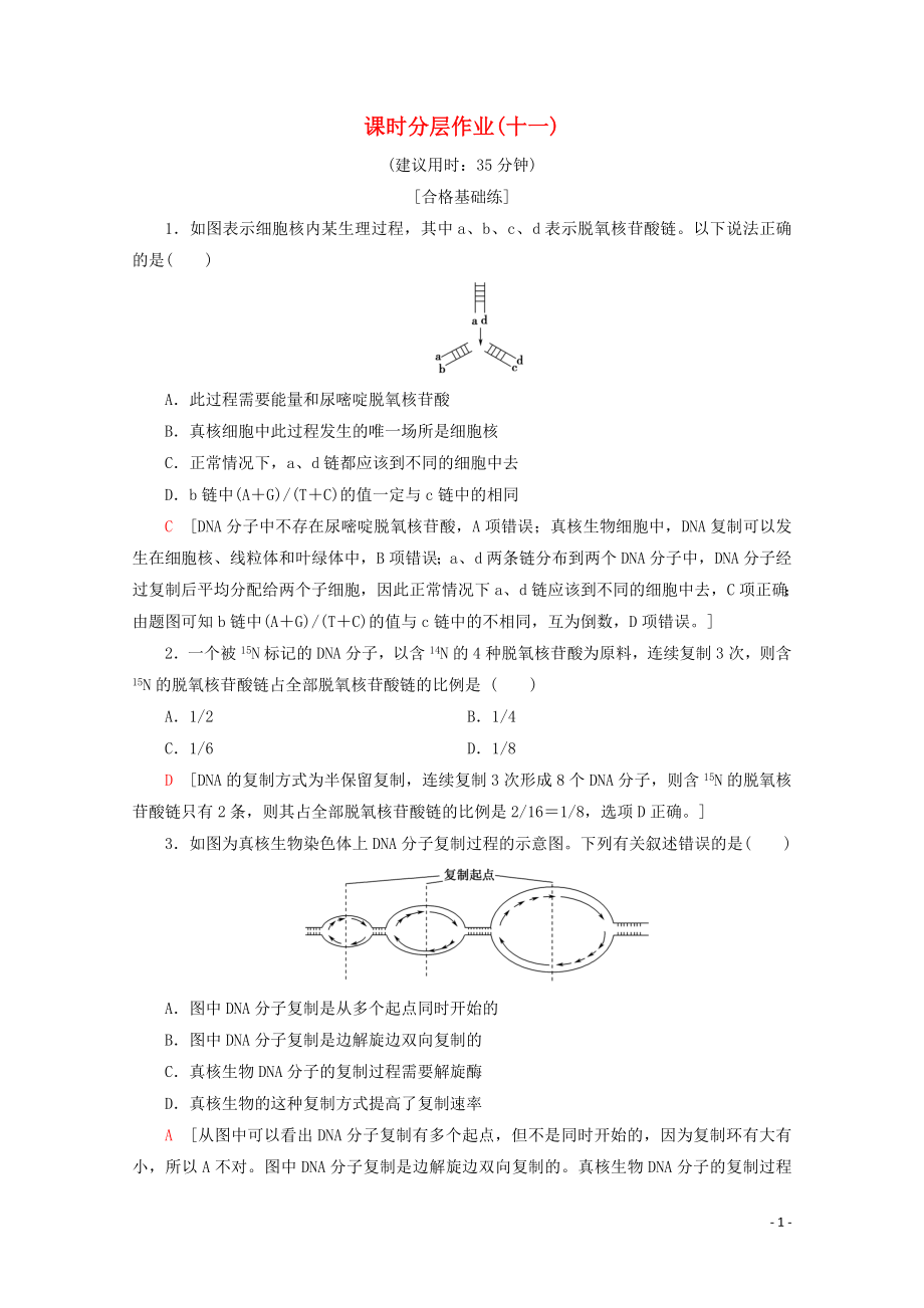 2019-2020學(xué)年高中生物 課時(shí)分層作業(yè)11 DNA的復(fù)制 基因是有遺傳效應(yīng)的DNA片段（含解析）新人教版必修2_第1頁