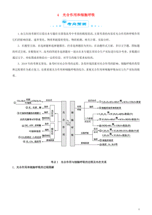 2019屆高考生物二輪復(fù)習(xí) 專題4 光合作用和細(xì)胞呼吸學(xué)案