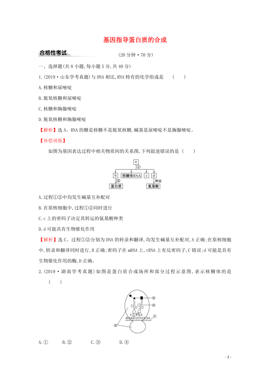 2020年新教材高中生物 课时素养评价十 4.1 基因指导蛋白质的合成（含解析）新人教版必修2_第1页