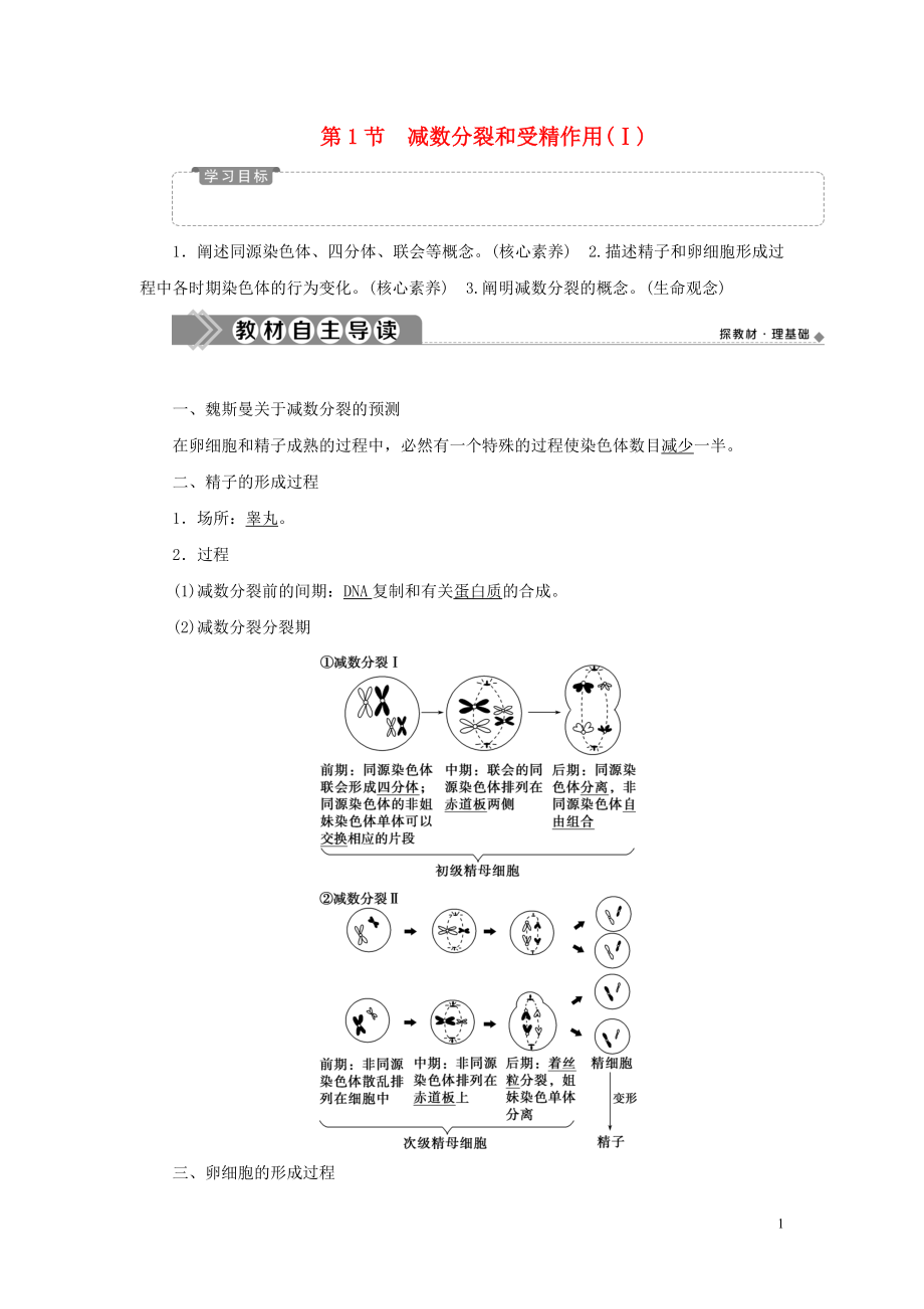 2019-2020學年新教材高中生物 第2章 基因和染色體的關(guān)系 第1節(jié) 減數(shù)分裂和受精作用（Ⅰ）學案 新人教版必修第二冊_第1頁