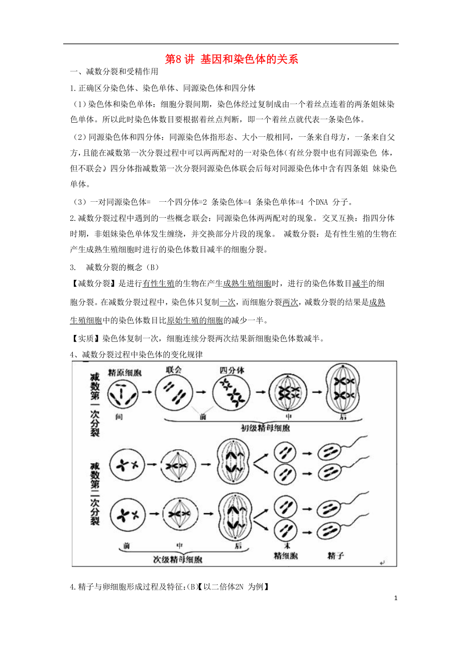 2018高中生物學(xué)業(yè)水平測試復(fù)習(xí) 第8講 基因和染色體的關(guān)系學(xué)案_第1頁