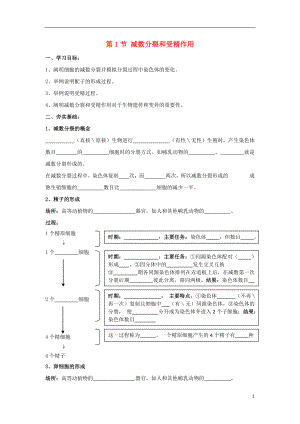 高中生物 第2章 基因和染色體的關(guān)系 第1節(jié) 減數(shù)分裂和受精作用學(xué)案 新人教版必修2