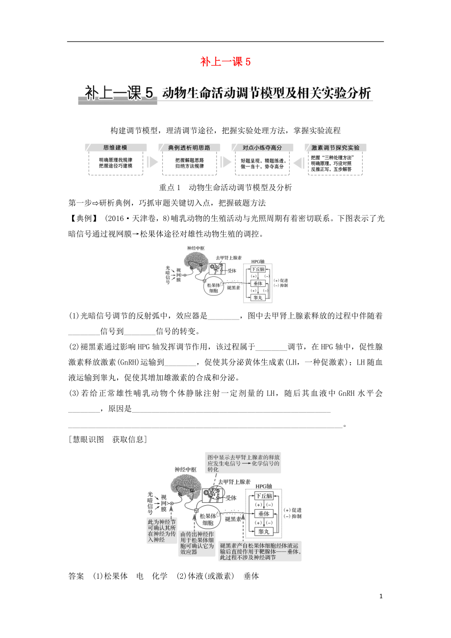 2019版高考生物大一輪復(fù)習(xí) 第九單元 生物個(gè)體的穩(wěn)態(tài)與調(diào)節(jié) 補(bǔ)上一課5學(xué)案 中圖版必修3_第1頁(yè)