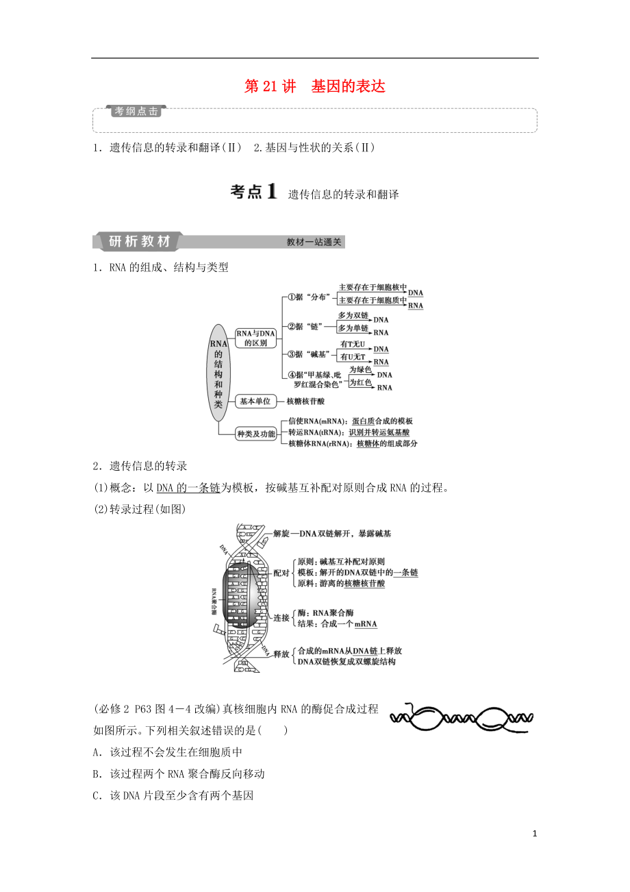 2019屆高考生物一輪復(fù)習(xí) 第六單元 遺傳的物質(zhì)基礎(chǔ) 第21講 基因的表達(dá)學(xué)案_第1頁(yè)