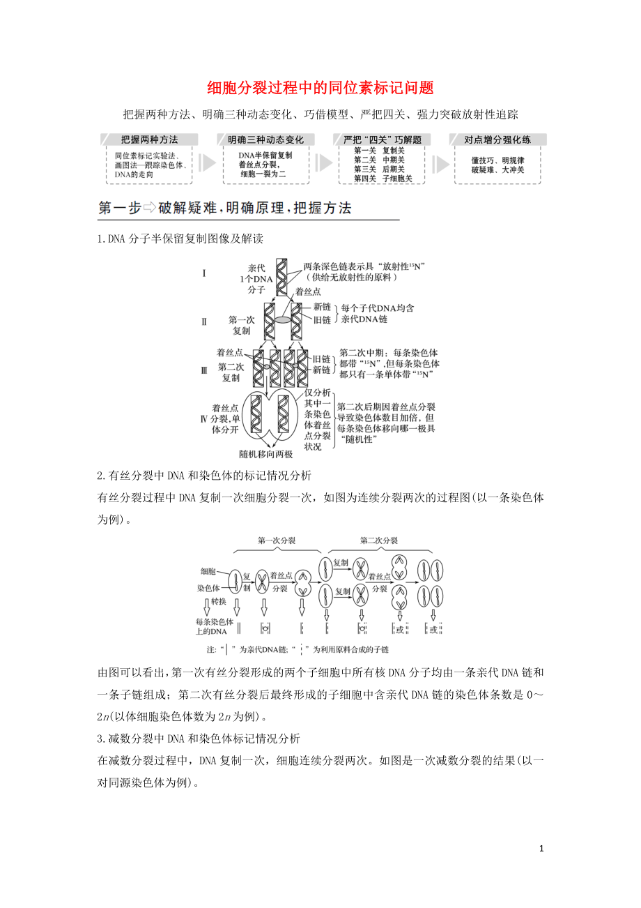 （江蘇專用）2020版新高考生物 第四單元 細(xì)胞的生命歷程 補(bǔ)上一課3 細(xì)胞分裂過程中的同位素標(biāo)記問題學(xué)案_第1頁(yè)