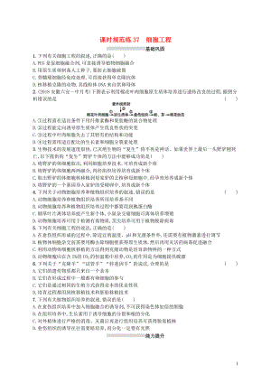 2020版高考生物大一輪復(fù)習(xí) 第10單元 生物技術(shù)與工程 課時規(guī)范練37 細胞工程 新人教版